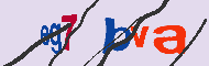Captcha認証コード